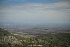 Karditsa